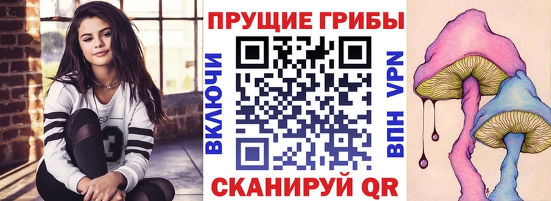 что такое наркотик  Вилюйск  Галлюциногенные грибы GOLDEN TEACHER 